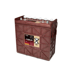 Trojan Battery J185H AC 12V...
