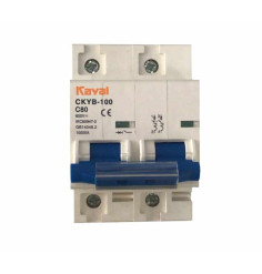 80A 2P Automatic Kayal
