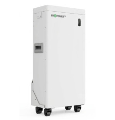 Lithium Battery LuxPower...